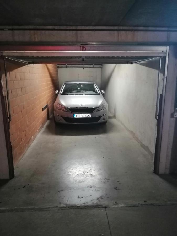 Marjolaine Zeezicht - Nieuwpoort-Bad Met Gratis Garagebox Apartment Luaran gambar